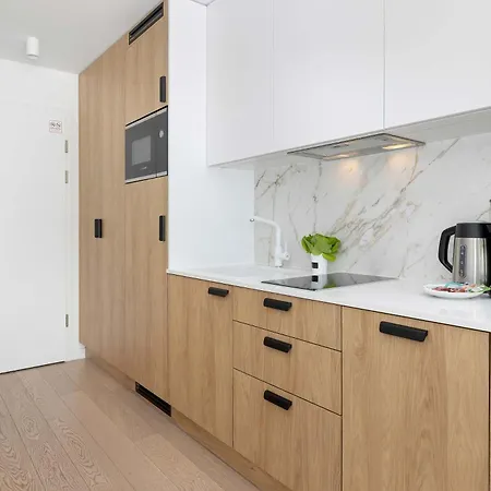 Nowoczesne W Darlowie Blisko Plazy Z Klimatyzacja By Renters Apartment Darłowo
